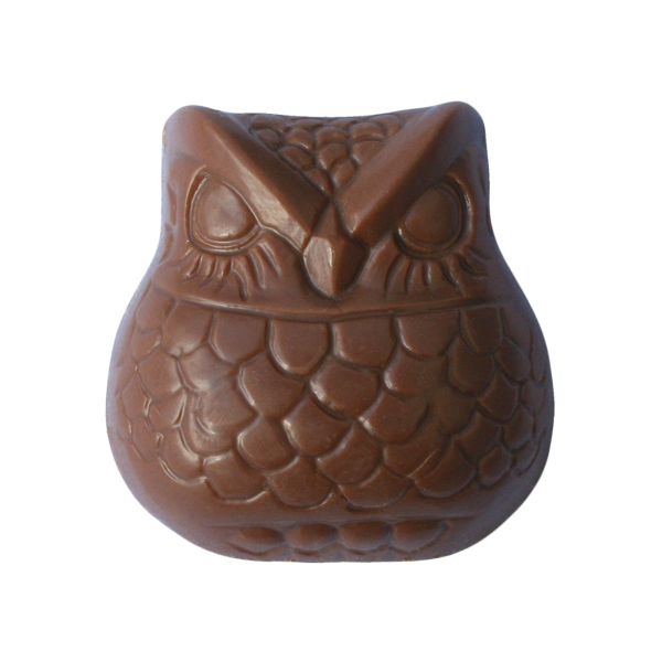 chocolate with liquorice bit chunks inside in the shape of an owl