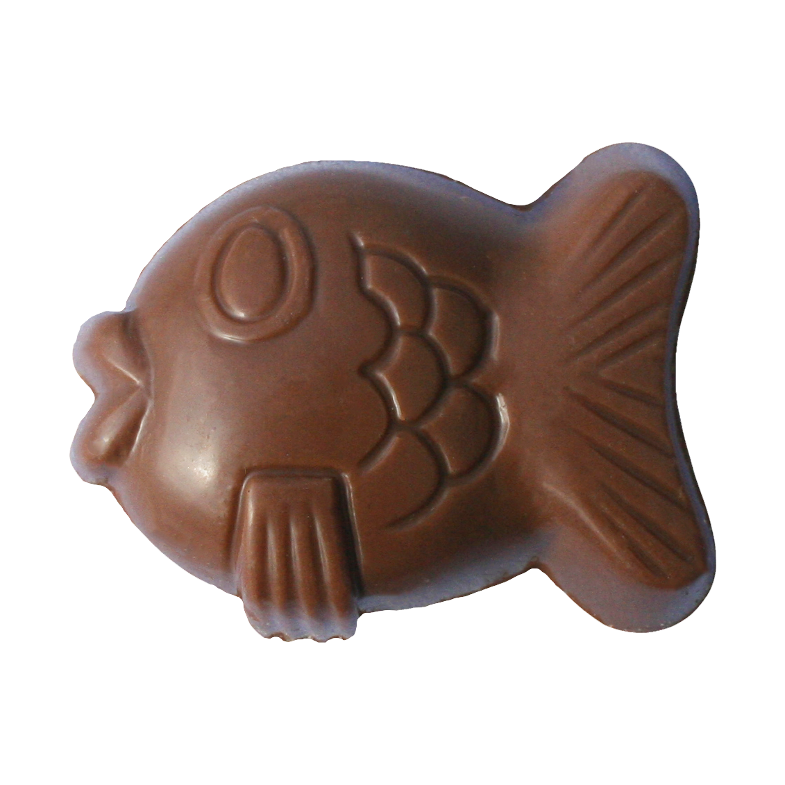 Popping candy fish | Lizzys Chocolates